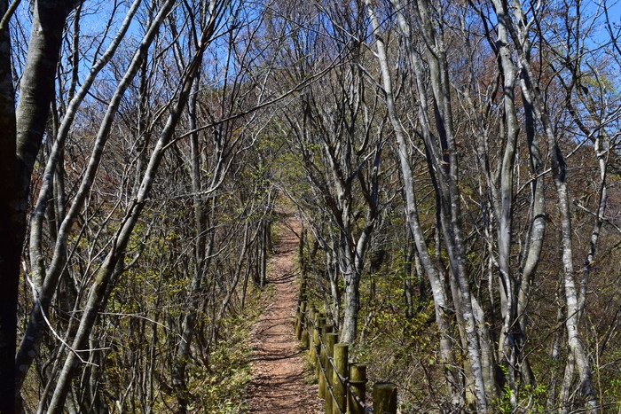 f:id:threepeaks:20190424235801j:plain