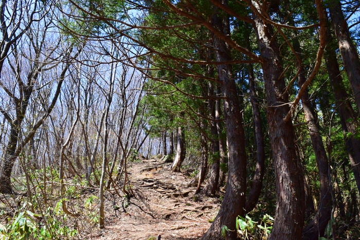 f:id:threepeaks:20190424235922j:plain