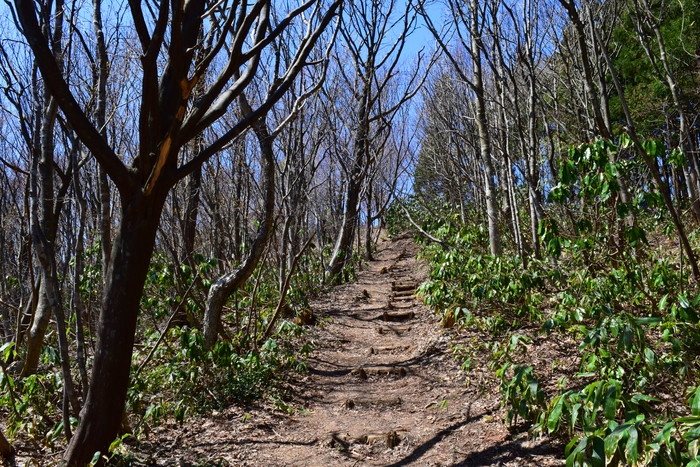 f:id:threepeaks:20190425000428j:plain