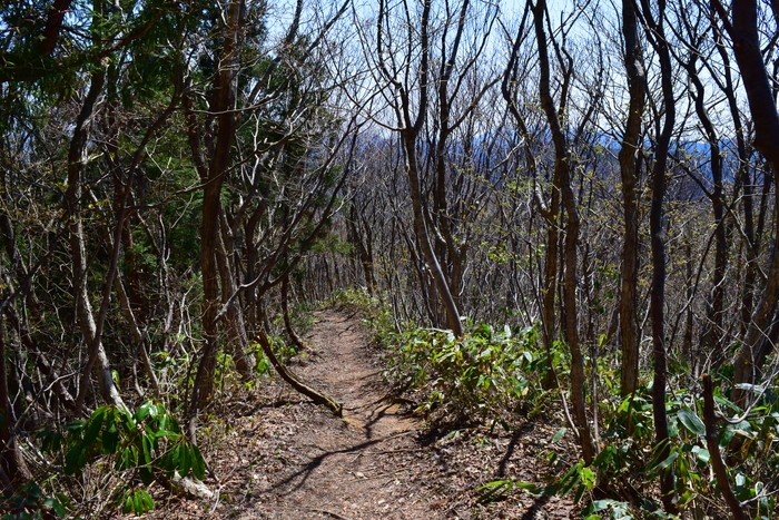 f:id:threepeaks:20190425001241j:plain