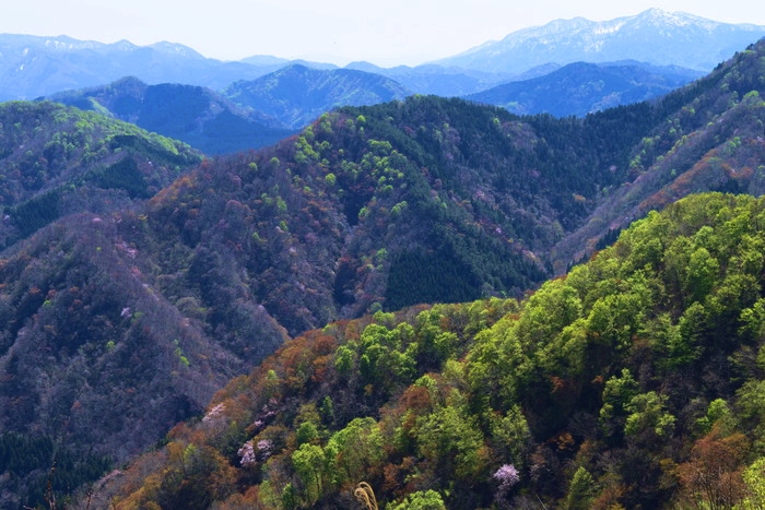 f:id:threepeaks:20190425001510j:plain