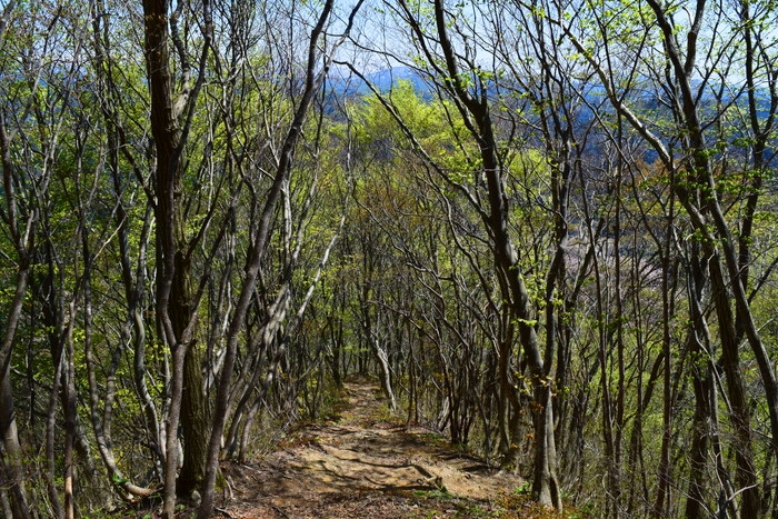 f:id:threepeaks:20190425002026j:plain