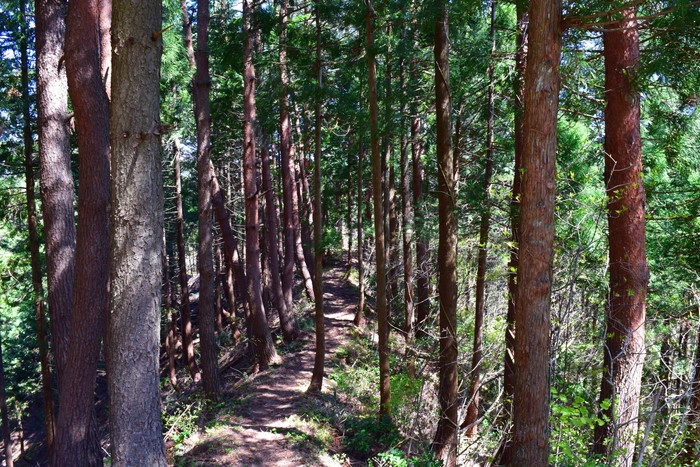 f:id:threepeaks:20190425002130j:plain