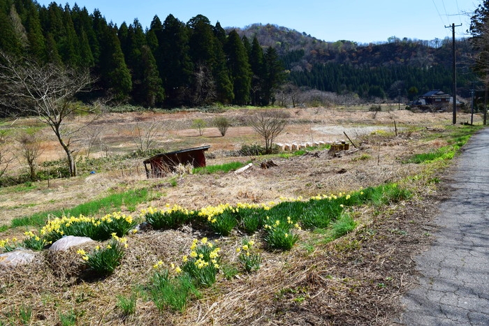 f:id:threepeaks:20190425003143j:plain