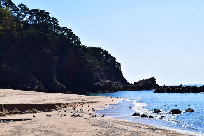 f:id:threepeaks:20190425005607j:plain