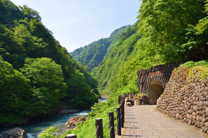 f:id:threepeaks:20190528132449j:plain f:id:threepeaks:20190528132449j:plain