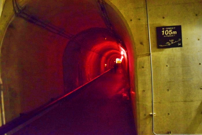 f:id:threepeaks:20190528140557j:plain f:id:threepeaks:20190528140557j:plain