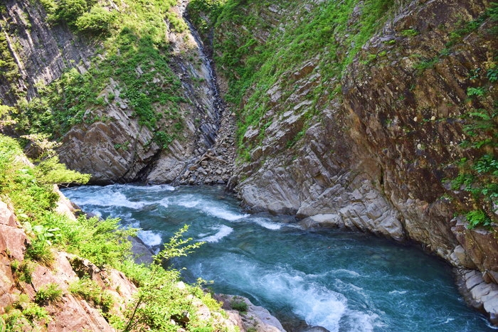 f:id:threepeaks:20190528142242j:plain f:id:threepeaks:20190528142242j:plain