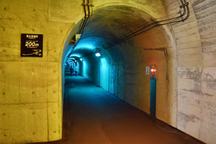 f:id:threepeaks:20190528142615j:plain f:id:threepeaks:20190528142615j:plain