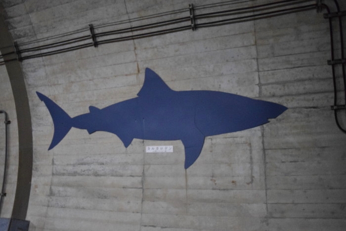 f:id:threepeaks:20190528143552j:plain f:id:threepeaks:20190528143552j:plain