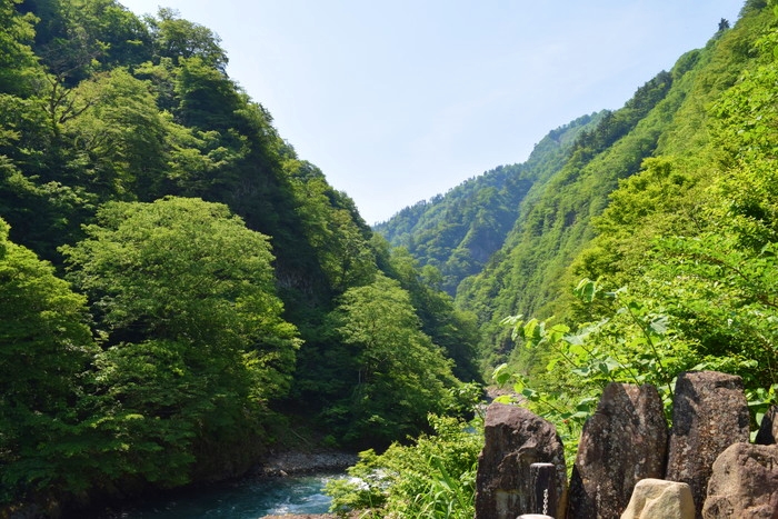 f:id:threepeaks:20190528144236j:plain f:id:threepeaks:20190528144236j:plain