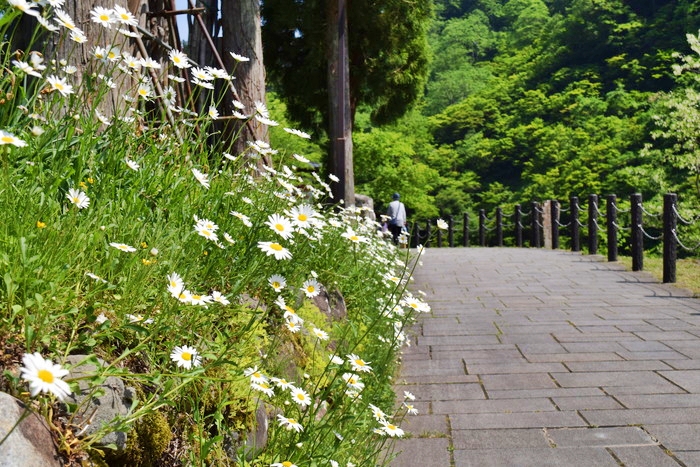 f:id:threepeaks:20190528145608j:plain f:id:threepeaks:20190528145608j:plain