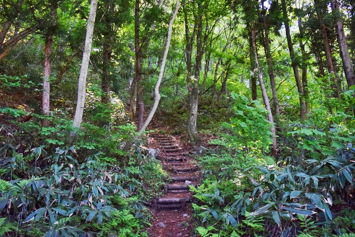 f:id:threepeaks:20190601120110j:plain f:id:threepeaks:20190601120110j:plain