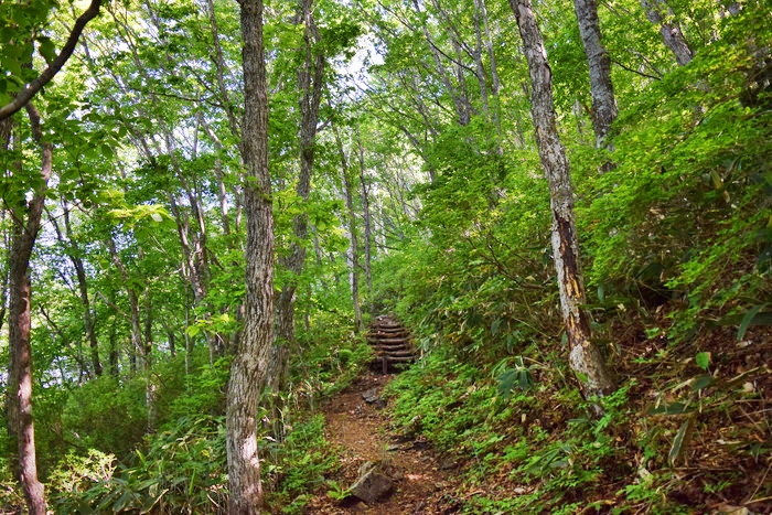 f:id:threepeaks:20190601120355j:plain f:id:threepeaks:20190601120355j:plain