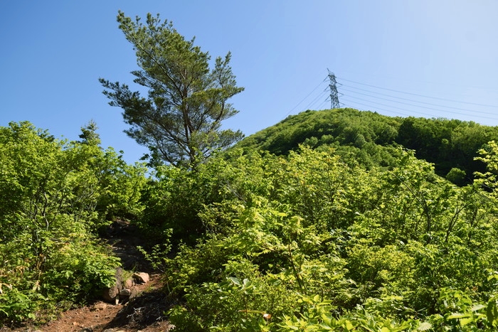 f:id:threepeaks:20190601120439j:plain f:id:threepeaks:20190601120439j:plain