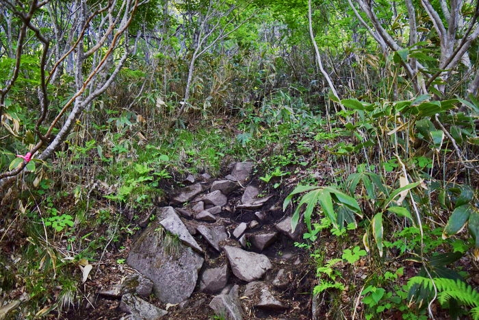 f:id:threepeaks:20190601120638j:plain f:id:threepeaks:20190601120638j:plain