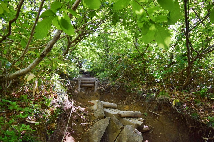 f:id:threepeaks:20190601120750j:plain f:id:threepeaks:20190601120750j:plain