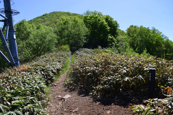 f:id:threepeaks:20190601120931j:plain f:id:threepeaks:20190601120931j:plain