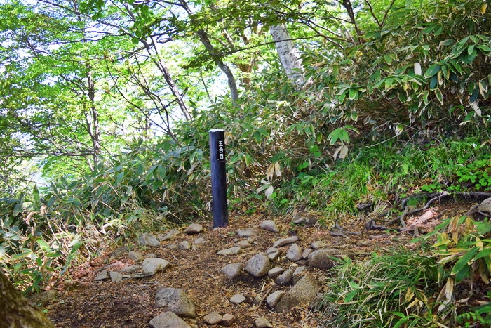 f:id:threepeaks:20190601121144j:plain f:id:threepeaks:20190601121144j:plain