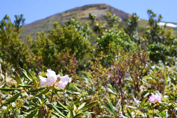 f:id:threepeaks:20190601121826j:plain f:id:threepeaks:20190601121826j:plain