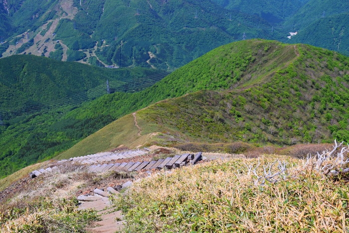 f:id:threepeaks:20190601122633j:plain f:id:threepeaks:20190601122633j:plain