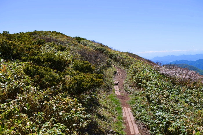 f:id:threepeaks:20190601124926j:plain f:id:threepeaks:20190601124926j:plain