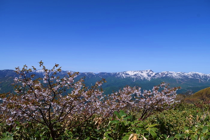 f:id:threepeaks:20190601125044j:plain f:id:threepeaks:20190601125044j:plain