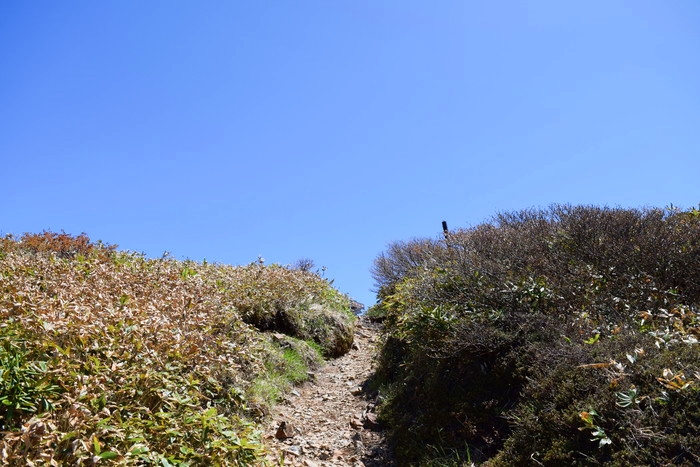 f:id:threepeaks:20190601125409j:plain f:id:threepeaks:20190601125409j:plain