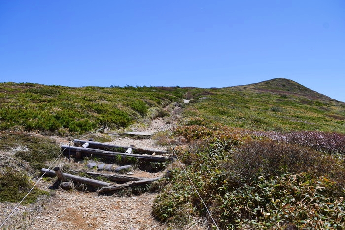 f:id:threepeaks:20190601132808j:plain f:id:threepeaks:20190601132808j:plain