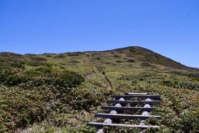 f:id:threepeaks:20190601134119j:plain f:id:threepeaks:20190601134119j:plain