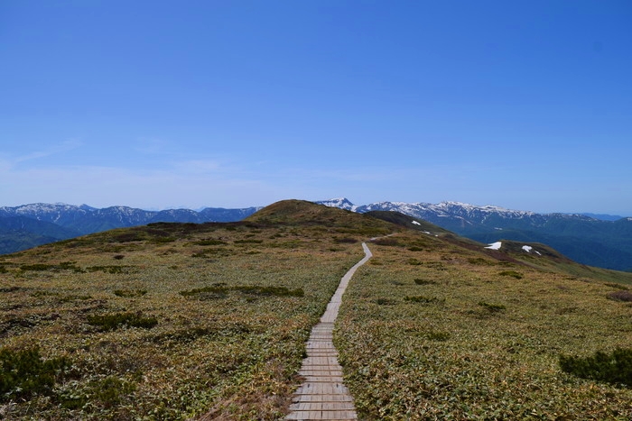 f:id:threepeaks:20190601144146j:plain f:id:threepeaks:20190601144146j:plain