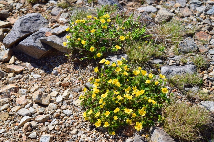 f:id:threepeaks:20190601145201j:plain f:id:threepeaks:20190601145201j:plain