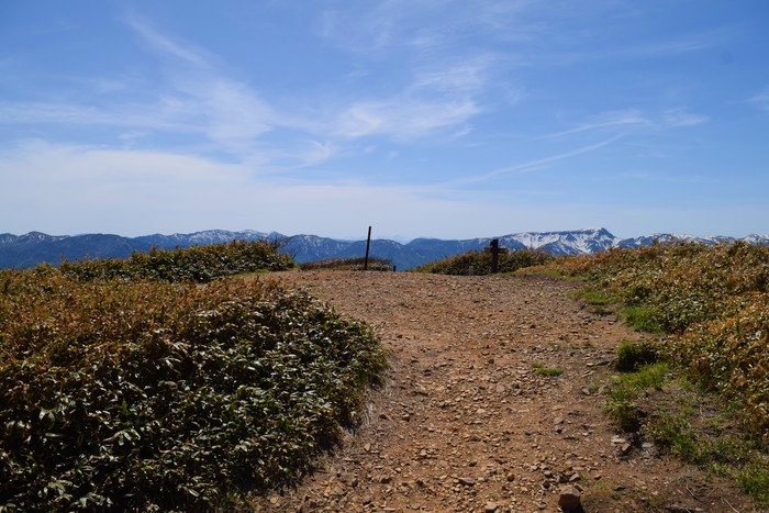 f:id:threepeaks:20190601145215j:plain f:id:threepeaks:20190601145215j:plain