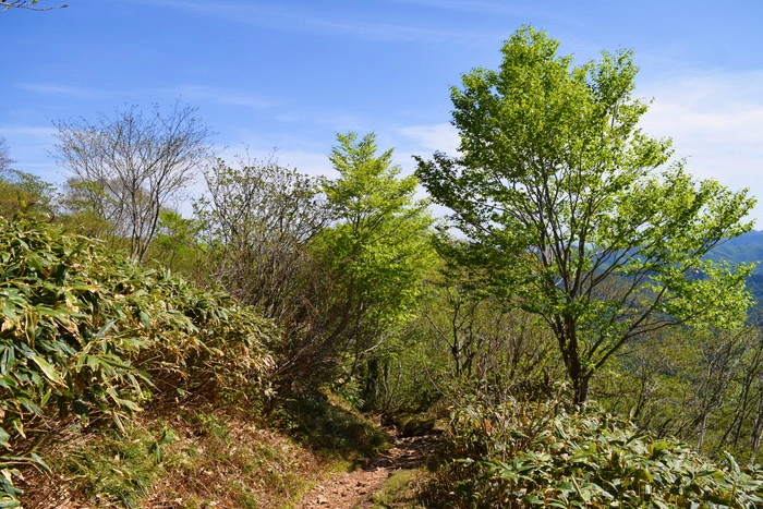 f:id:threepeaks:20190601152435j:plain f:id:threepeaks:20190601152435j:plain