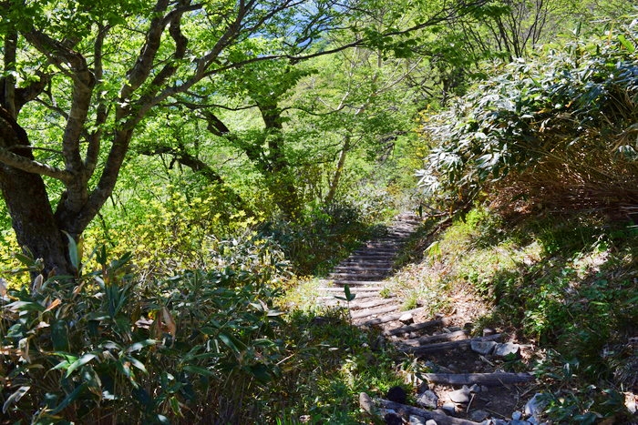 f:id:threepeaks:20190601152514j:plain f:id:threepeaks:20190601152514j:plain