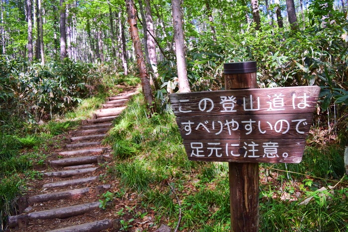 f:id:threepeaks:20190601153033j:plain f:id:threepeaks:20190601153033j:plain