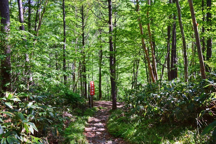 f:id:threepeaks:20190601153118j:plain f:id:threepeaks:20190601153118j:plain