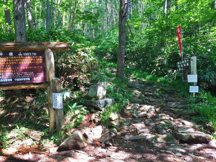 f:id:threepeaks:20190601153157j:plain f:id:threepeaks:20190601153157j:plain