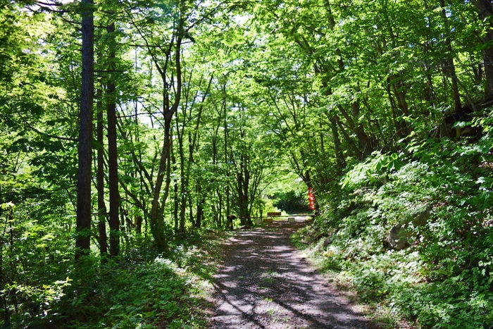 f:id:threepeaks:20190601153612j:plain f:id:threepeaks:20190601153612j:plain