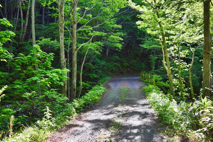 f:id:threepeaks:20190601153636j:plain f:id:threepeaks:20190601153636j:plain