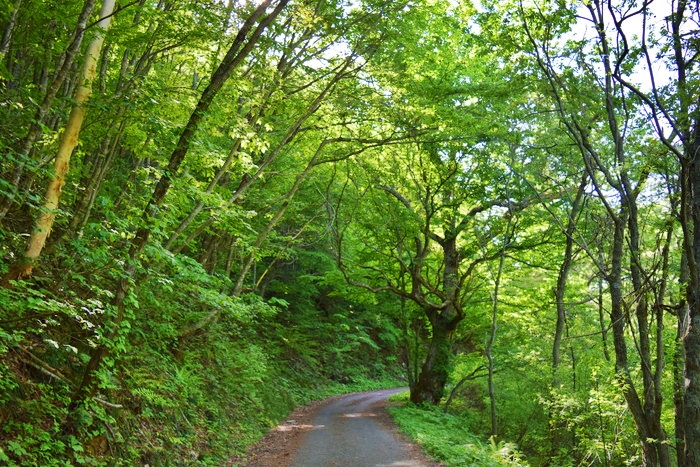 f:id:threepeaks:20190601153841j:plain f:id:threepeaks:20190601153841j:plain