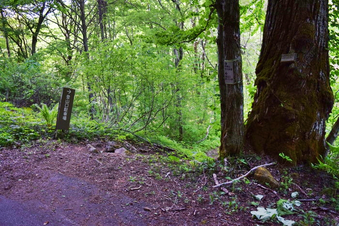 f:id:threepeaks:20190601153920j:plain f:id:threepeaks:20190601153920j:plain