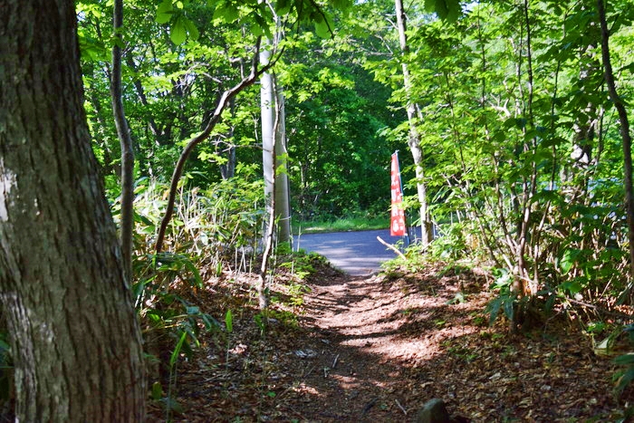 f:id:threepeaks:20190601154310j:plain f:id:threepeaks:20190601154310j:plain