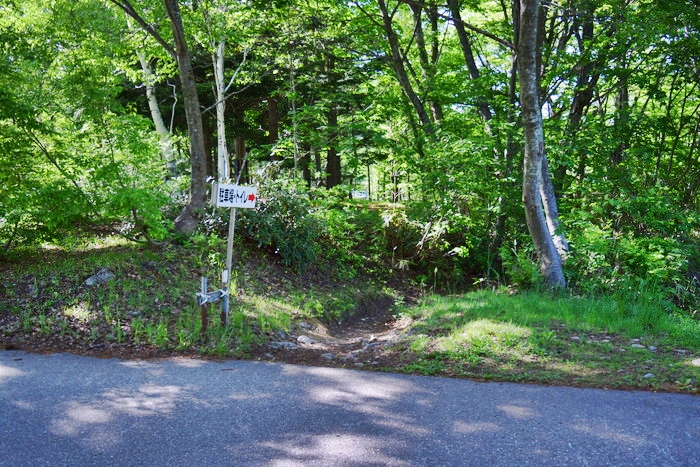 f:id:threepeaks:20190601154450j:plain f:id:threepeaks:20190601154450j:plain