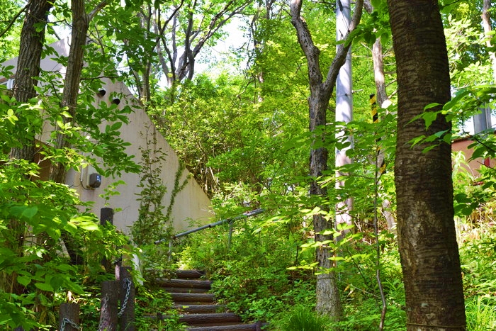 f:id:threepeaks:20190604225415j:plain