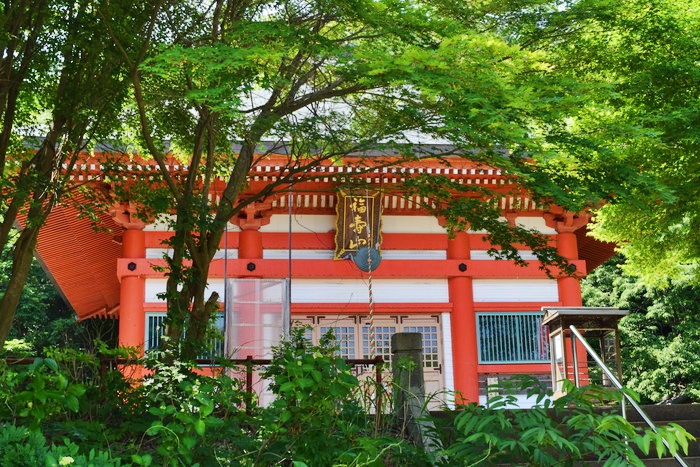 f:id:threepeaks:20190604225434j:plain