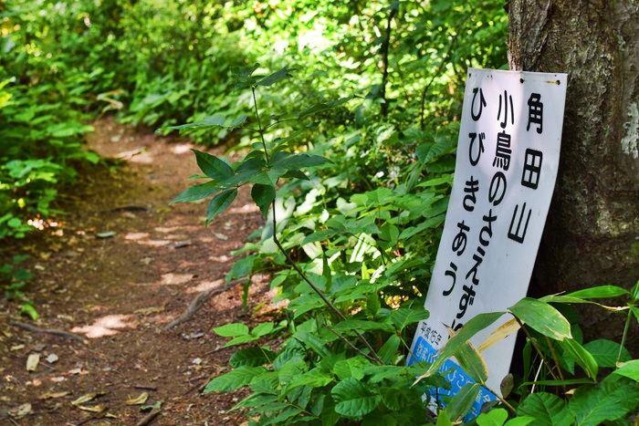 f:id:threepeaks:20190604230705j:plain