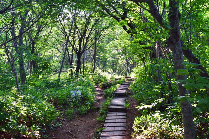 f:id:threepeaks:20190604233102j:plain