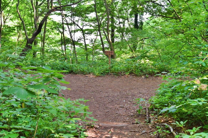 f:id:threepeaks:20190604233406j:plain