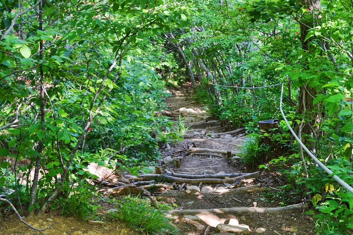 f:id:threepeaks:20190604233508j:plain